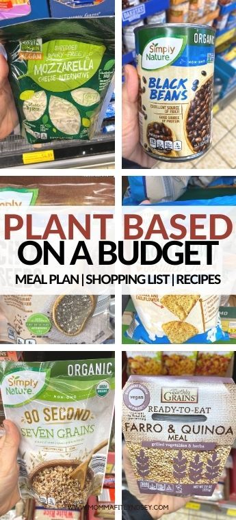 plant based food items at aldi Beginning A Plant Based Diet, Plant Based Diet Shopping List, Plant Based Aldi Grocery List, Plant Based Meals On A Budget, List Of Plant Based Foods, Plant Based Bariatric Recipes, Vegetable Based Diet, Going Plant Based For Beginners, Plant Based Diet On A Budget