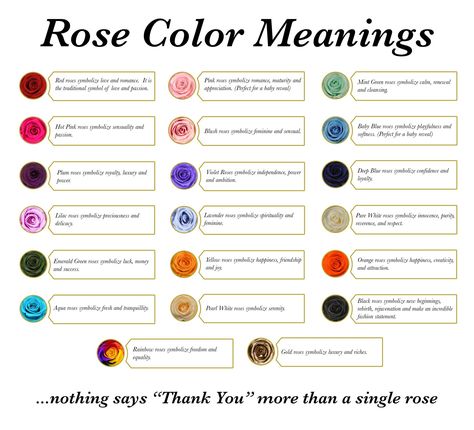 Rose color meanings - add to sute but make your own graphic, this is another companys Rose Meanings, Flower Meanings Chart, Werewolf Family, Blue Rose Meaning, Rose Color Meanings, Rose Meaning, Rose Tattoo Meaning, Outdoor Pallet, Rose Colors