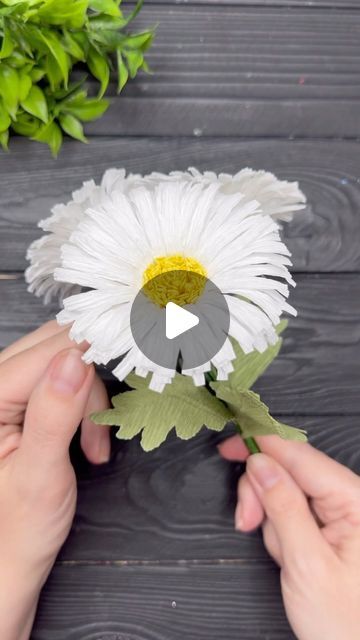 Daisy Flower Craft, Flower Paper Craft Decorations, Paper Daisy Flowers Diy, Diy Daisy Flower, Diy Den, Paper Daisies, Crepe Paper Flowers Diy, One Kiss, Paper Daisy