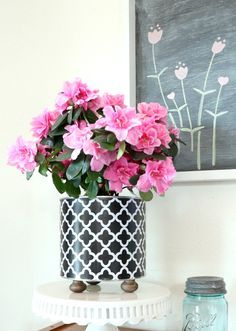 Learn how to make a coffee can planter with metallic feet and pink flowers. Upcycle a coffee can into a planter or flower pot with these tips. #coffeecanplanter #spring #flowers #upcycle Coffee Can Planters Diy, Coffee Cans Crafts Ideas, Upcycle Coffee Cans, Coffee Can Ideas, Coffee Can Planter, Coffee Can Crafts, Decoupage Tins, Colorful Planters, نباتات منزلية