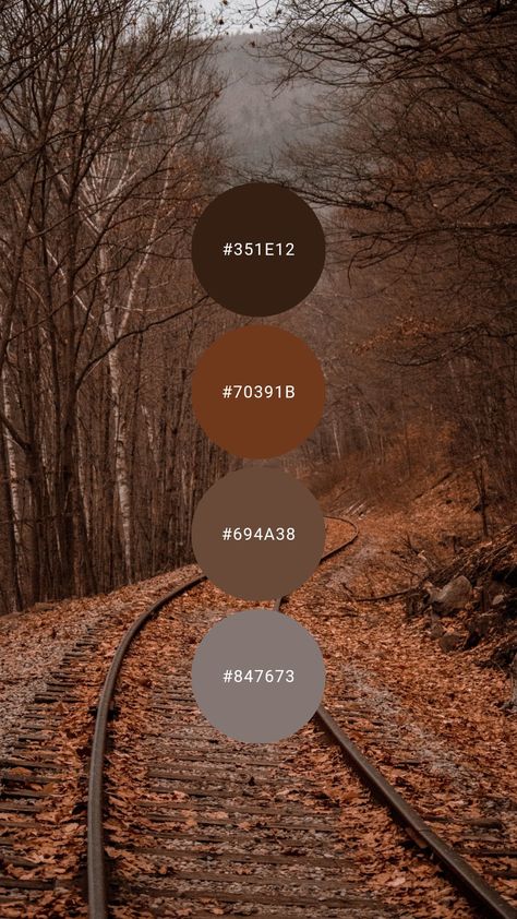 Dark and rustic this warm brown palette will having you dreaming of late autumn coziness. Try it in the kitchen, living / family room, master / primary bedroom, or home office. #colourpalette #colorpalette #colour #color #palette #brown #umber #chestnut #autumn #fall #leaves #traintracks #copper Chestnut Brown Color Palette, Autumn Color Palette Bedroom, Fall Paint Color Palette, Wedding Color Schemes Brown, Fall Color Palette Bedroom, Dark Cozy Color Palette, Chocolate Brown Palette, Chestnut Color Palette, Dark Colour Scheme