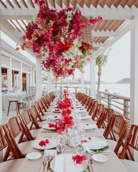 Bougenville Wedding Decor, Bougainvillea Wedding Aisle, Bougainvillea Wedding Decoration, Bougainvillea Table Setting, Bougainvillea Tropical Wedding, Wedding Bougainvillea, Bougainvillea Estate Wedding, Bougainvillea Bouquet, Wedding Cartagena