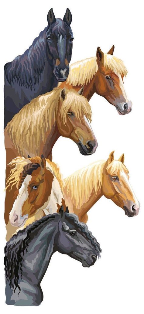 Horse Backgrounds Wallpapers, Cute Horse Wallpapers, Horse Wall Stickers, Horse Wall Decals, Horse Background, Horse Poster, Animal Baby Room, Horse Coat Colors, Painted Horses