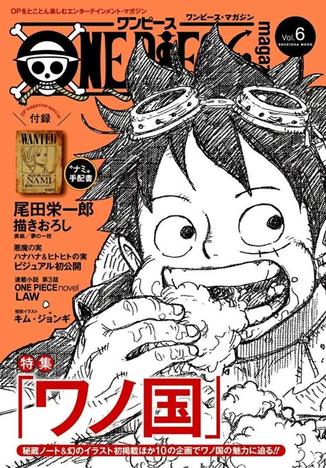 One Piece Magazine, One Piece Aesthetic, Japan Graphic Design, Japanese Poster Design, Dorm Posters, Japon Illustration, Anime Cover Photo, One Piece Comic, Japanese Poster