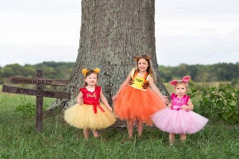 Winnie The Pooh Dress, Piglet Costume, Pooh Costume, Tigger Costume, Book Characters Dress Up, Winnie The Pooh Costume, Kid Costumes, Pooh Dress, Tutu Dress Costumes