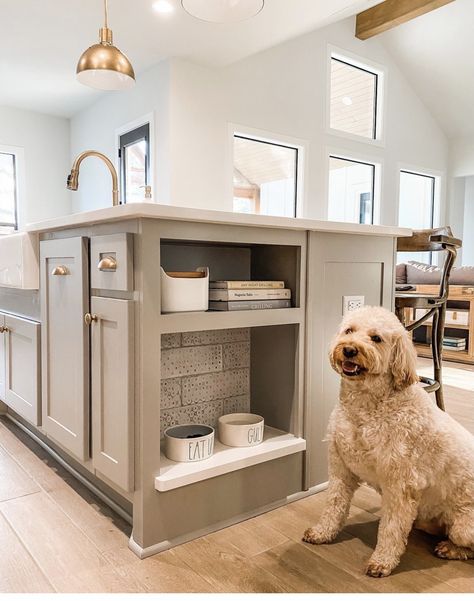 Dog Food Station, Kitchen Remodel Modern, Dog Feeding Station, Dog Kitchen, Small Kitchen Remodel, Kitchen Remodel Before And After, Remodel Kitchen, Kitchen Redo, Dream House Interior