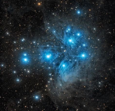 Pleiades Star Cluster, Nebula Tattoo, Nebula Wallpaper, Light Science, Star Clusters, Astronomy Pictures, The Pleiades, Whirlpool Galaxy, Orion Nebula