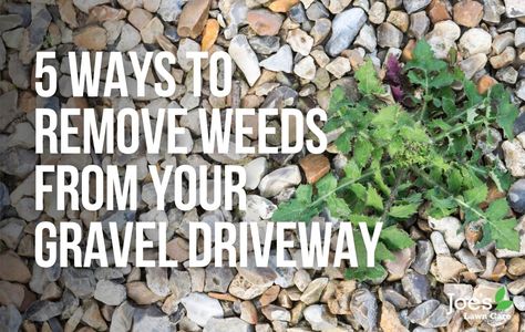 5 Ways To Remove Weeds From Your Gravel Driveway - Joe's Lawn Care Edging Gravel Driveway, How To Get Rid Of Weeds In Rocks, Gravel Driveway Edging, Driveway Culvert, Gravel Drive, Lawn Problems, Driveway Edging, Killing Weeds, Grass Weeds