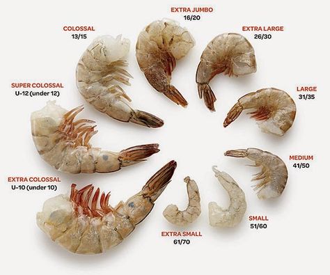 Shrimp Size Comparison Giant Shrimp, Shrimp Sizes, Culinary Lessons, White Shrimp, Raw Shrimp, Grape Salad, Fine Cooking, Fried Shrimp, Food Info