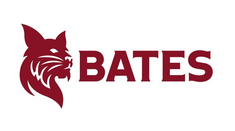 College Lacrosse, Bates College, Lewiston Maine, Sales Prospecting, Liberal Arts College, Marketing Analysis, Financial Modeling, Work Remotely, College Logo