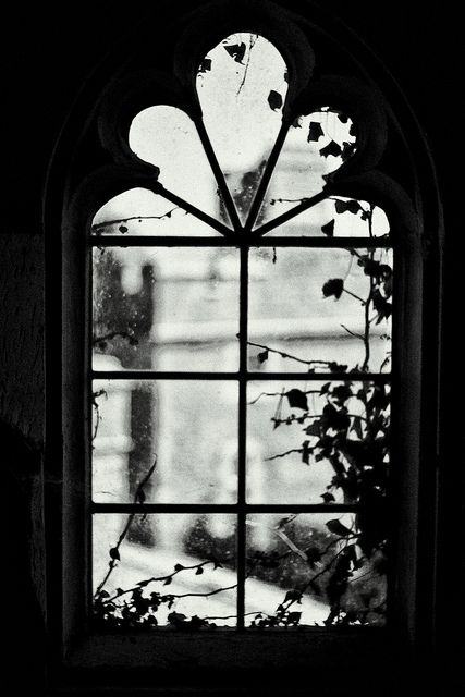 Looking through another spooky windows.... Spooky Window, Window Photography, 수채화 그림, Foto Art, Window View, Dark Matter, Flickr Photos, Through The Window, Bw Photo