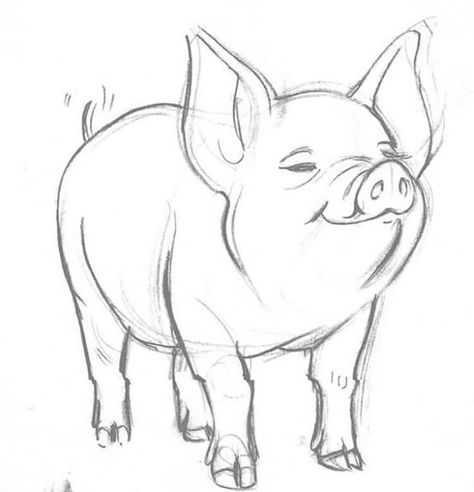 Animal lovers will enjoy checking out these easy pig drawings. If you’re looking for the perfect pig drawing reference, you’re sure to find inspiration. Modele Zentangle, Cow Drawing, Animal Sketch, Pig Drawing, Výtvarné Reference, Pig Art, Cool Pencil Drawings, Animale Rare, Wallpaper Tumblr