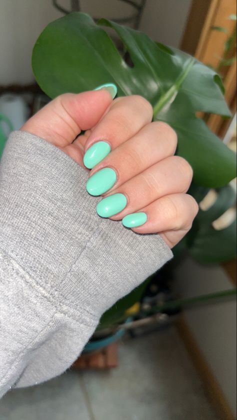 Round acrylic nails. Mint color looks turquoise in different lighting. Mint Dip Powder Nails, Turquoise Nails Oval, Mint Teal Nails, Nail Designs Turquoise, Spring Nails Teal, Solid Gel Nail Color Ideas Summer, Aqua Color Nails, Acrylic Round Nails, Mint Almond Nails