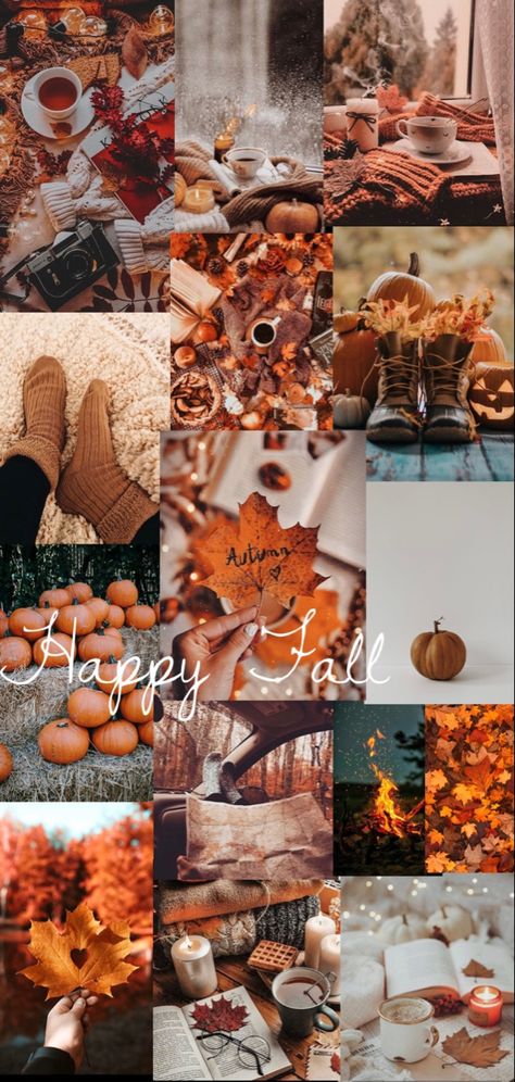 October Collage Aesthetic, White Aesthetic Fashion, Pictures Of Fall, Autumn Phone Wallpaper, Fall Board, Fall Backgrounds, Preppy Wallpapers, Vsco Wallpaper, Fall Wallpapers