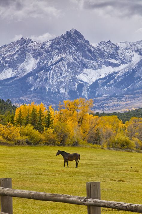 Horses, Travel, Places In The World, Beautiful Places In The World, A Horse, Most Beautiful Places, Beautiful Places, Most Beautiful, The World