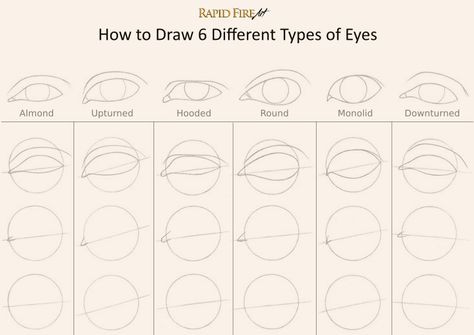 Tutorial: Drawing Different Eye Shapes It all starts with a simple circle! Visit the tutorial for more steps and learn how to draw a perfect iris. http://rapidfireart.com/2017/01/19/how-to-draw-different-eye-shapes/ Iris Drawing, Different Types Of Eyes, Realistic Eye Drawing, Drawing Eye, Eye Drawing Tutorials, Eye Sketch, Eyes Drawing, Types Of Eyes, Drawing Lessons