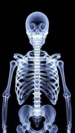 Background Frame Design, Body Preschool, Xray Art, Human Pictures, Losing 40 Pounds, Background Frame, X Rays, Human Skeleton, Nature Background