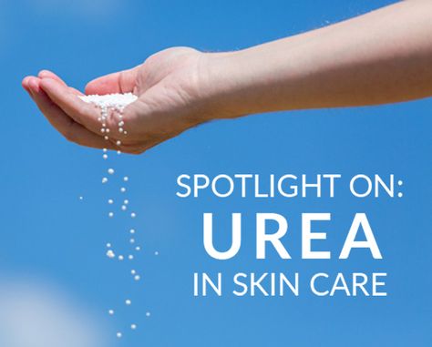 Spotlight on Urea in Skin Care Dermatology Nurse, Clear Complexion, Nurse Practitioner, Cosmetic Surgery, Dermatology, Flawless Skin, Skincare Ingredients, Facial Skin Care, Korean Skincare