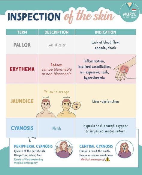 Skin Nursing Notes, Skin Integrity Nursing, Sterile Technique Nursing, Cna Notes, Foundations Of Nursing, Nursing School Studying Cheat Sheets, Nursing School Life, Nurse Tips, Medical Assistant Student