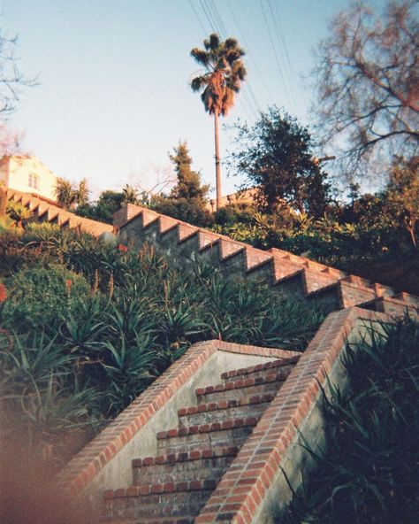 Flamingo Estate, Los Angeles on Instagram: “Tonight is the Autumn Equinox. Look up. People say Los Angeles has no seasons, but we think Autumn is an opportunity to bask in subtle…” Flamingo Estate, Creative Retreat, Pink Houses, Lush Garden, Green Garden, Ancient Ruins, Organic Farming, Natural Gifts, Macadamia