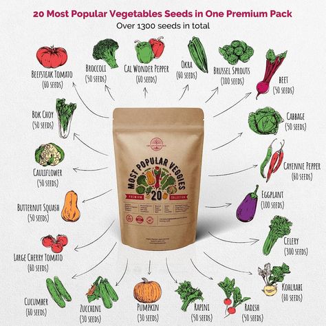 Amazon.com : 20 Vegetable Non-GMO Heirloom Seeds for Planting Vegetables and Fruits - Seed Packets in Home Survival Garden Seeds Variety Pack for Hydroponic and Outdoor Planting, Semillas de Vegetales Para Sembrar : Patio, Lawn & Garden Home Survival, Survival Garden, Stuffed Anaheim Peppers, Beefsteak Tomato, Sweet Watermelon, Starting Seeds Indoors, Survival Gardening, Fruit Seeds, Pickling Cucumbers