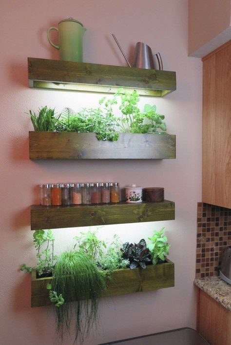 Koti Diy, Wall Planters Indoor, Vertical Garden Indoor, نباتات منزلية, Garden Growing, Deco Nature, Indoor Herb Garden, Pallet Garden, Terracotta Planter