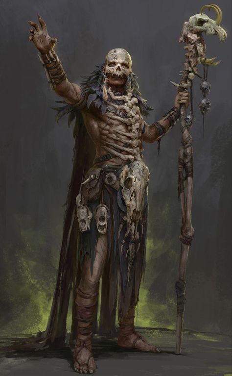 Orc Necromancer, Orc Druid, Moon Druid, Dark Shaman, Orc Shaman, Orc Barbarian, Half Orc, 다크 판타지, Arte Fantasy