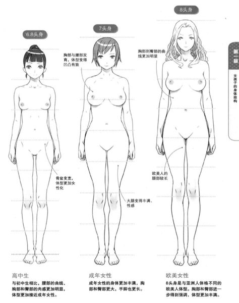 Anatomy Reference Body Types, Stretch Pose Reference Drawing, Female Waist Reference, Body Proportions Drawing Pose Reference, Torso Sketch Female, Women Anatomy Drawing Pose Reference, Manga Art Ideas, Anatomy Poses Female, Anatomy Drawing Girl