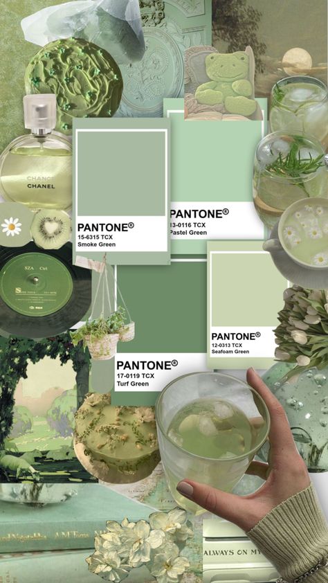 Turf Green Pantone, Pistachio Color Aesthetic, Pistachio Aesthetic, Green Branding, How To Make Matcha, Pistachio Color, Color Aesthetic, Mood Colors, Color Picker