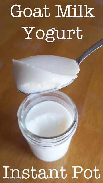 Goat Milk Yogurt, Goat Milk Recipes, Instant Pot Yogurt, Goat Recipes, Making Yogurt, Dairy Allergy, Yogurt Maker, Dairy Goats, Dairy Drinks