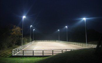 Need four more light poles Bay Clydesdale, Horse Riding Arena, Cleveland Bay, Equestrian Stables, Dressage Arena, Horse Farm Ideas, Riding Arena, Horse Barn Ideas Stables, Horse Arena