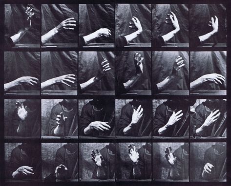 Eadweard Muybridge, Plate 535 - Close Up Movement Of Hand Beating Time Sequence Photography, Eadweard Muybridge, John Russell, Animal Movement, Motion Photography, Robert Rauschenberg, Animation Tutorial, Moving Image, Art Institute Of Chicago