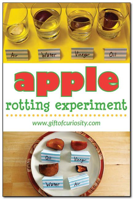 Apple Science, Vinegar And Oil, Pre-k Science, Summer Stem, Apple Preschool, Apple Unit, Lacing Cards, Apple Activities, Science Activity