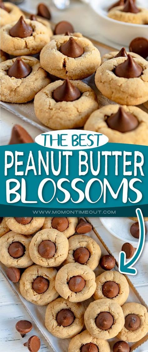 Delicious Peanut Butter Blossoms are a holiday favorite! Soft and chewy peanut butter cookies rolled in sugar and topped with a kiss! Peanut Butter Blossom Cookies 3 Ingredient, Hershey Peanut Butter Blossom Cookies, Peanut Blossoms Cookies Hershey's Kisses, Peanut Butter Reeses Cookies, Best Peanut Butter Blossoms, Recipes Baked Goods, Peanut Butter Kisses, Peanut Blossom Cookies, Kisses Cookies