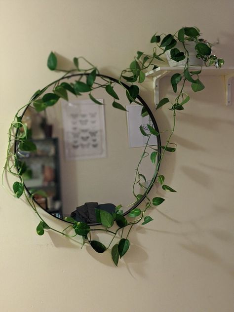 3M hooks were used to secure this living ivy around the mirror, creating an enchanted look. Vine Window Decor, Plant Mirror Decor, Plants Around Mirror, Mirror With Plants Around It On Wall, Vines Around Mirror, Ivy Around Mirror, Mirror With Plants Around It, Ivy Mirror Decor, Vines Around Mirror Bathroom