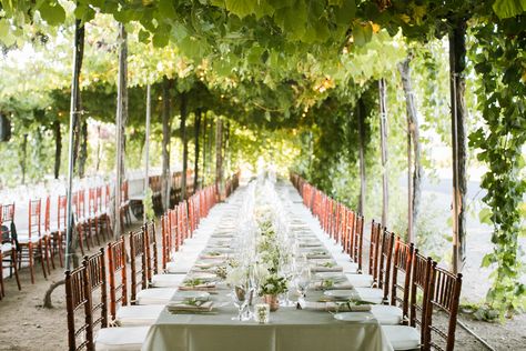 Geyserville Wedding – Trentadue Winery: Grace + Mike Napa Wineries, Winery Tours, Wedding Venue Decorations, Best Wine, Vendor Events, Winery Wedding, Wedding Event Planning, Winery Weddings, Best Beer