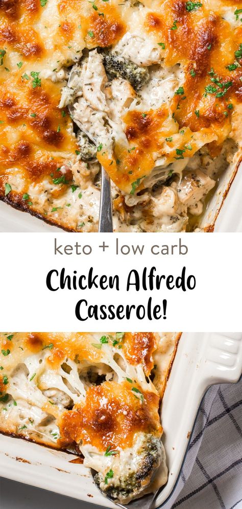 Keto chicken alfredo casserole that you bake into a creamy, cheesy meal that’s perfect for family and friends. This low carb keto casserole is only 2g net carbs per serving, follow my simple tips on the best way to make it cheesy and delicious. No Carb Meals Dinners Easy, Easy Healthy Casserole Recipes Low Carb, Low Carb Alfredo Recipes, Quick Easy Keto Meals With Chicken, Easy No Carb Dinner Recipes, Low Carb Alfredo Bake, Healthy Casserole Recipes Low Carb, Keto Alfredo Casserole, Keto Alfredo Bake