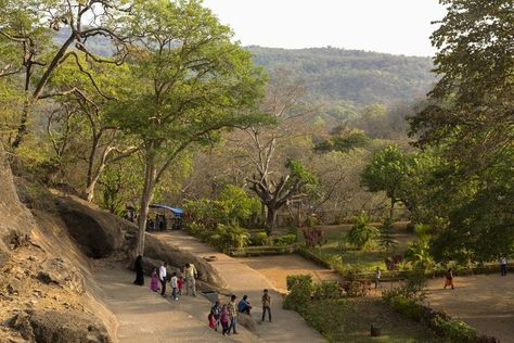 Mumbai's Sanjay Gandhi National Park: Essential Visitor's Guide Sanjay Gandhi National Park, Grant Road Mumbai, Gateway Of Mumbai, Get Of India Mumbai, Mumbai City, Nature Story, Dream City, Image House, India Travel