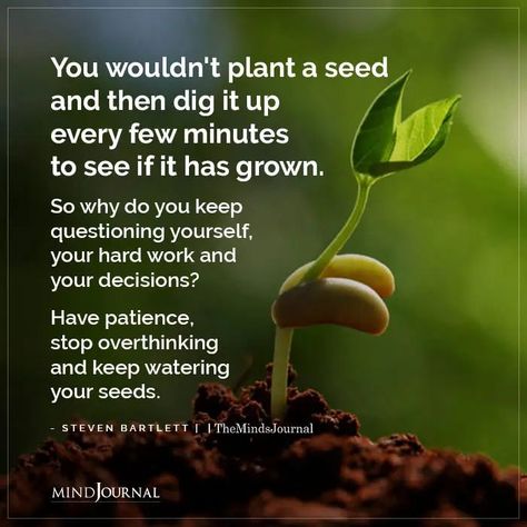 You wouldn’t plant a seed and then dig it up every few minutes to see if it has grown. So why do you keep questioning yourself, your hard work and your decisions? Have patience, stop overthinking and keep watering your seeds. - Steven Bartlett Planting Quotes Life Inspiration, Plant A Seed Quote, Plant Quotes Life Inspiration Thoughts, Plants Quotes Life Inspiration, Seeds Quotes, Planting Seeds Quotes, 2025 Intentions, Seed Growth, Seed Quotes