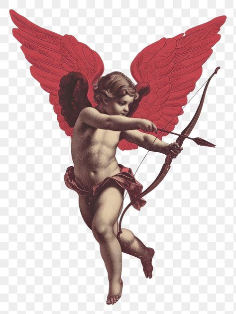 Cherub With Bow And Arrow, Cupid Art Aesthetic, Cupid Illustration, Cupid Statue, Cupid Aesthetic, Owl Feather Tattoos, Cupid Art, Cupid Wings, Graphic Design Png