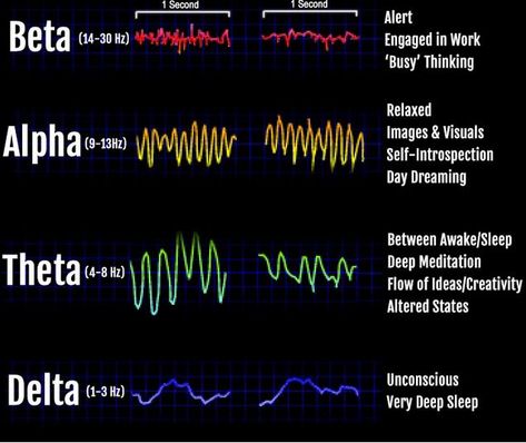 Silva Mind Control, Brain Infographic, Silva Method, Psychic Healing, Meditation Exercises, Manifestation Meditation, Pineal Gland, The Scientist, Mind Control