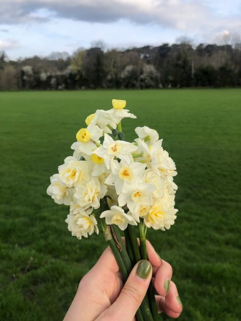 Hand holding bouquet of wildflowers Daisy Daffodil Bouquet, Daffodil Nails, Daffodil Bouquet Wedding, Bouquet Nails, Buttercup Bouquet, Daffodils Bouquet, Pretty Bouquets, Daffodil Wedding, Wildflowers Bouquet