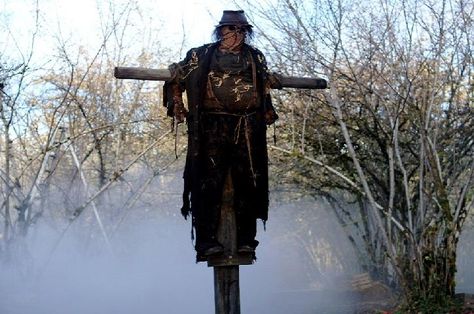 supernatural scarecrow | The Scarecrow's Post: A "Supernatural" Scarecrow Creepy Scarecrow, Scary Scarecrow, Children Of The Corn, Crusader Knight, Halloween Props Diy, Inspo Art, Haunted Mound, Halloween Scarecrow, Horror Masks