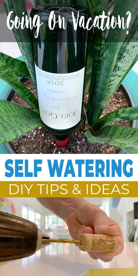 Here are some great DIY self watering ideas for your planters, your garden, or your house plants, so no matter how much fun you have on vacation, you don’t come back to a plant funeral! Self Watering Bottle, Diy Self Watering, Diy Self Watering Planter, Plant Waterer, Bottle Plant, Water Plants Indoor, Self Watering Containers, Self Watering Plants, Plants In Bottles