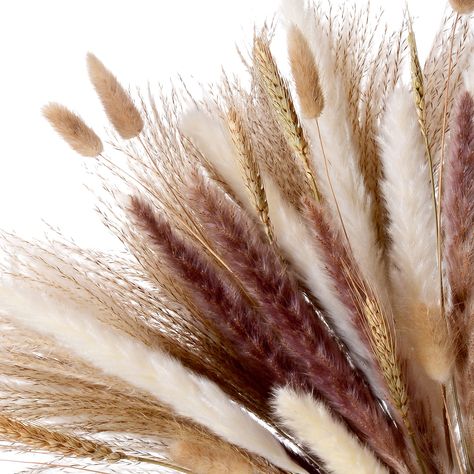 PRICES MAY VARY. Natural Pampas Grass: Natural dried pampas grass which is a gift of nature is made from 100% natural high-quality reed grass, giving you the original touch, non-toxic and harmless. Making you feel like you are on the pampas and adding a natural fun of texture. Make sure to check our insert information, which explains how to fluff up your pampas, for outstanding results What you will receive: Selected high-quality 80 pieces of pampas grass contain15*white pampas grass, 15*brown p Amazon Fall Decor, Brown Pampas, Natural Bouquet, Grass Flowers, Grass Wreath, Wheat Sheaf, Pampas Grass Bouquet, Dried Pampas, Grass Decor