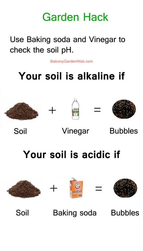 Easy Gardening Hacks, Garden Hacks Diy, Landscape Gardening, Diy Tumblr, Garden Hacks, Gardening Hacks, Organic Vegetable Garden, Plant Nutrients, Soil Ph