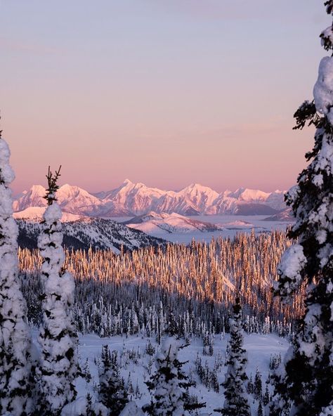 *🇺🇸 The peaks of Glacier National Park (Montana) rising into the sunset by Trevor Hull (@trev.hull) on Instagram ❄️🌅 Jun-05-2021 Visit Montana, Country Photography, Big Sky Montana, Montana Usa, Glacier National Park Montana, Glacier Park, Big Sky Country, Mountain Photos, Pretty Colors