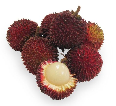 Pulasan - Alchetron, The Free Social Encyclopedia Kitchen Garden Plants, Fruit Vector, Kinds Of Fruits, Cute Fruit, Fruit Plants, Tropical Fruits, Propagating Plants, No Background, Tropical Fruit