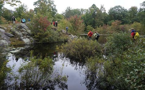 Waterfall Park, Kawartha Lakes, What To Do Today, To Do Today, Lake Ontario, Boat Tours, Bike Trails, In November, Water Park