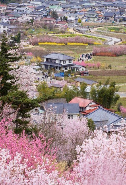 Beautiful, Kyushu, Fukushima, Yokohama, Places Around The World, Aerial View, Japan Travel, Historical Sites, Laos, Beautiful World